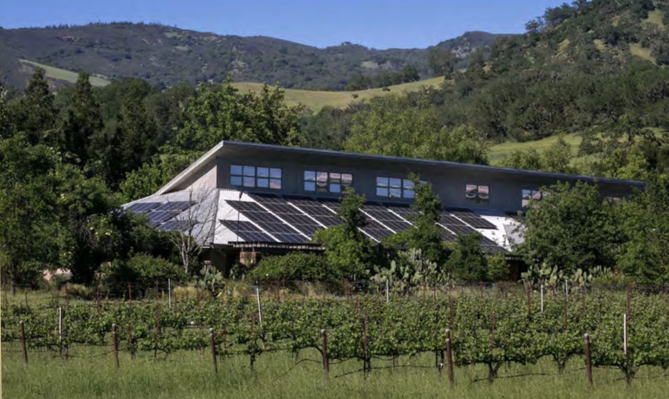 Spotlight on Award Winner: Fetzer Vineyards Leverages IoT & Big Data to Stay Ahead of Water Waste