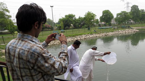 How Smartphones Became Vital Tools Against Dengue In Pakistan