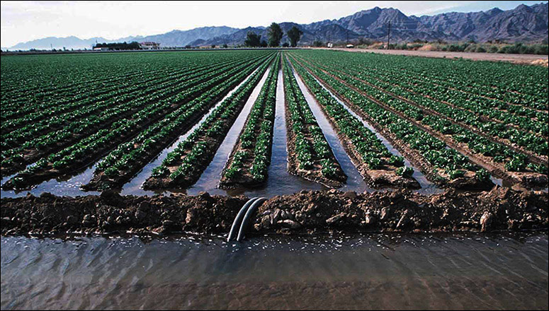 LeafMon Reduced Agricultural Water Use