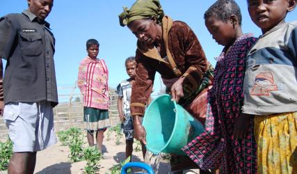 Sustainable agricultural and husbandry systems in the Manakaravavy watershed