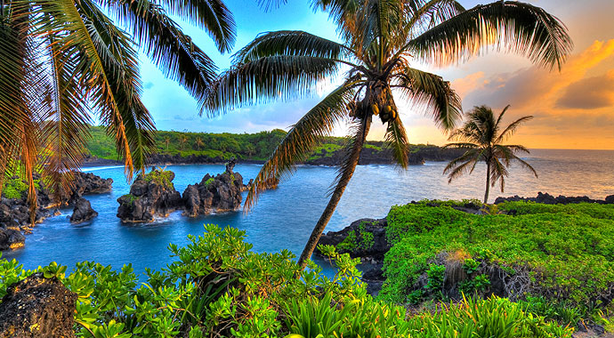 Aloha to Biogas in Hawaii