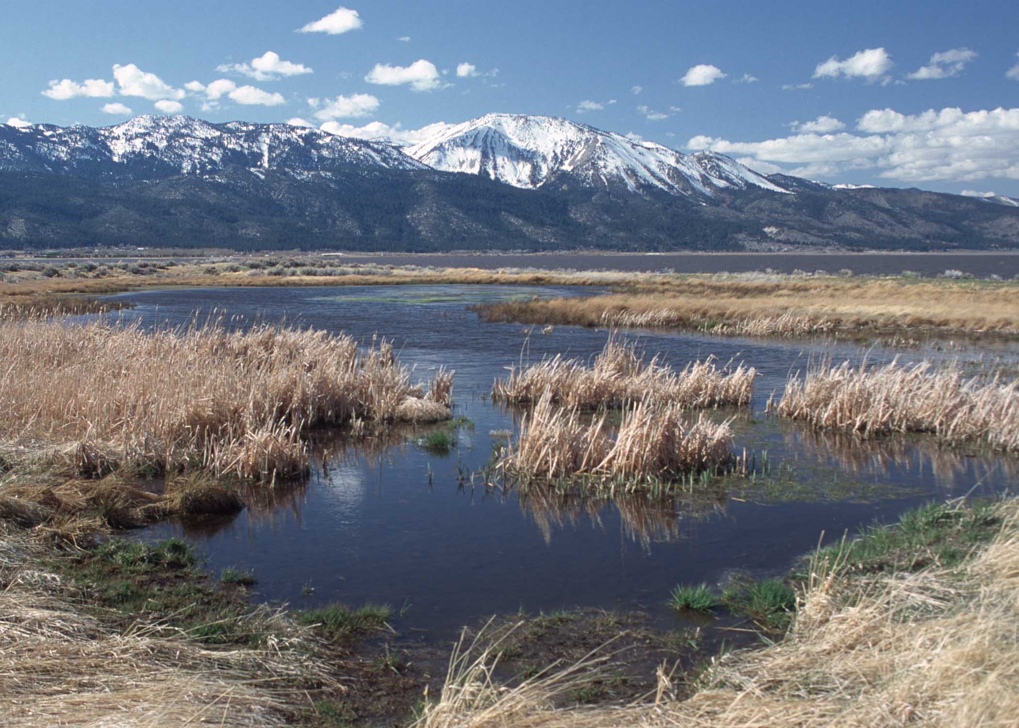 Canada Invests in Waterflow Project