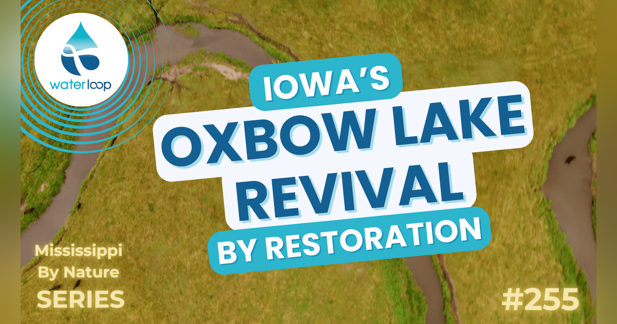 Iowa's Oxbow Lake Revival By Restoration