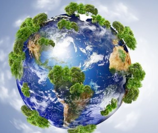 Why the Environment Needs Water Markets