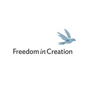 Freedom in Creation