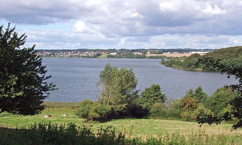 Suez to ​Reduce Phosphorus Levels in ​Sensitive Lake ​by 90% ​