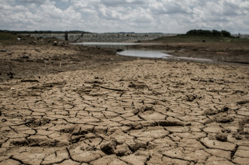 El Nino causes one of the worst droughts in 50 years in southern Africa