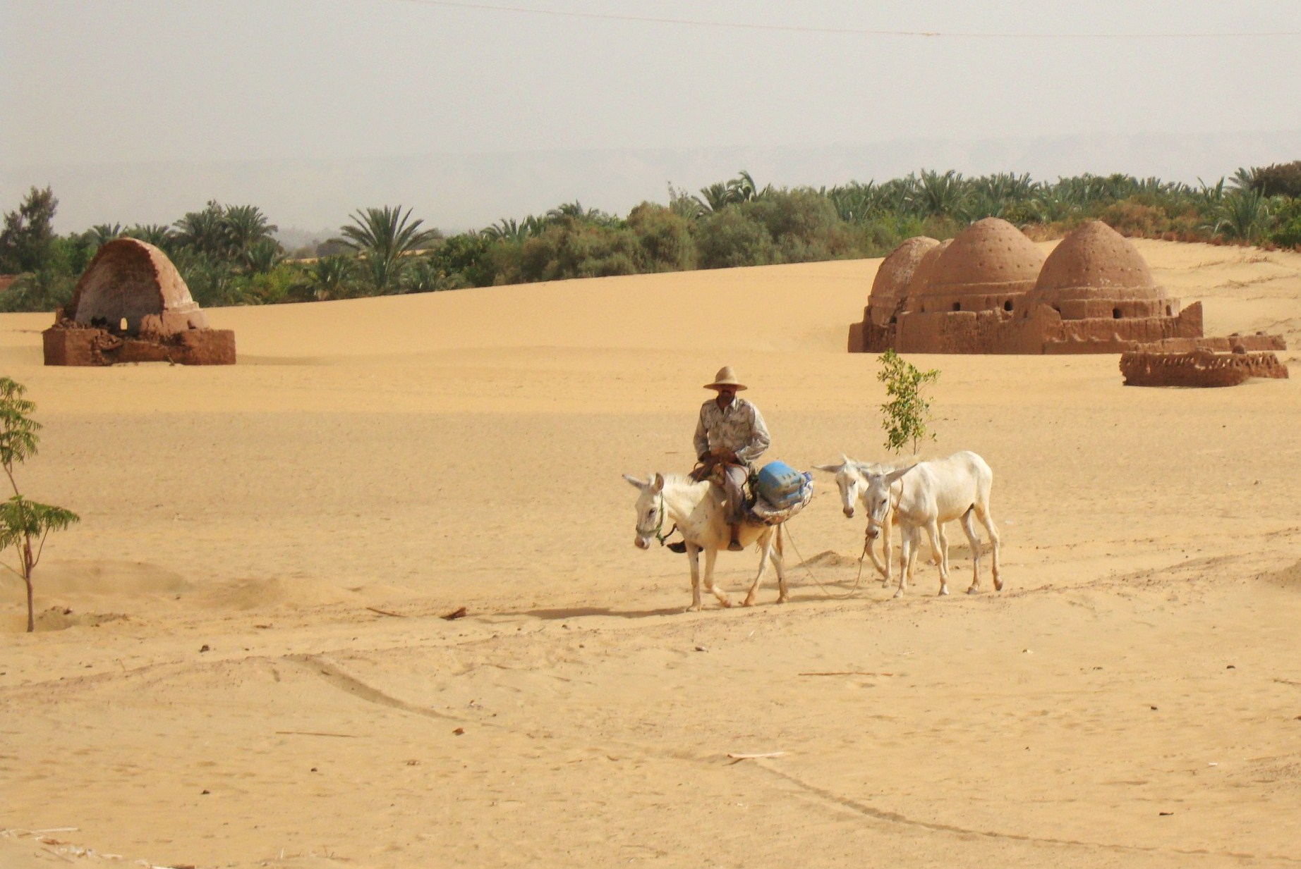 Egypt: Mechanical Pumps Turning Oases Into Mirages