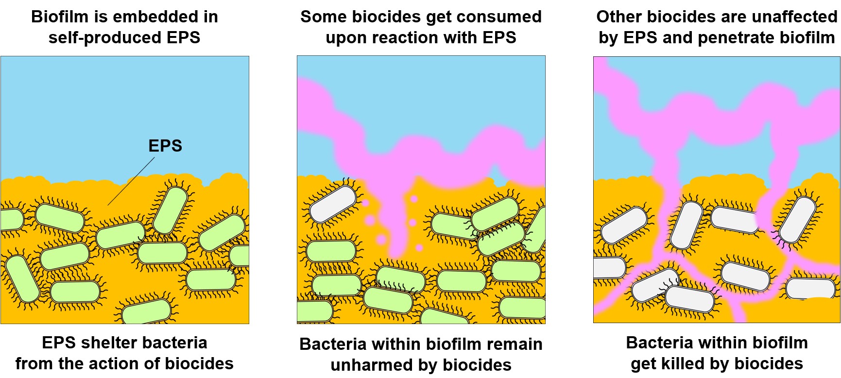 Biocides