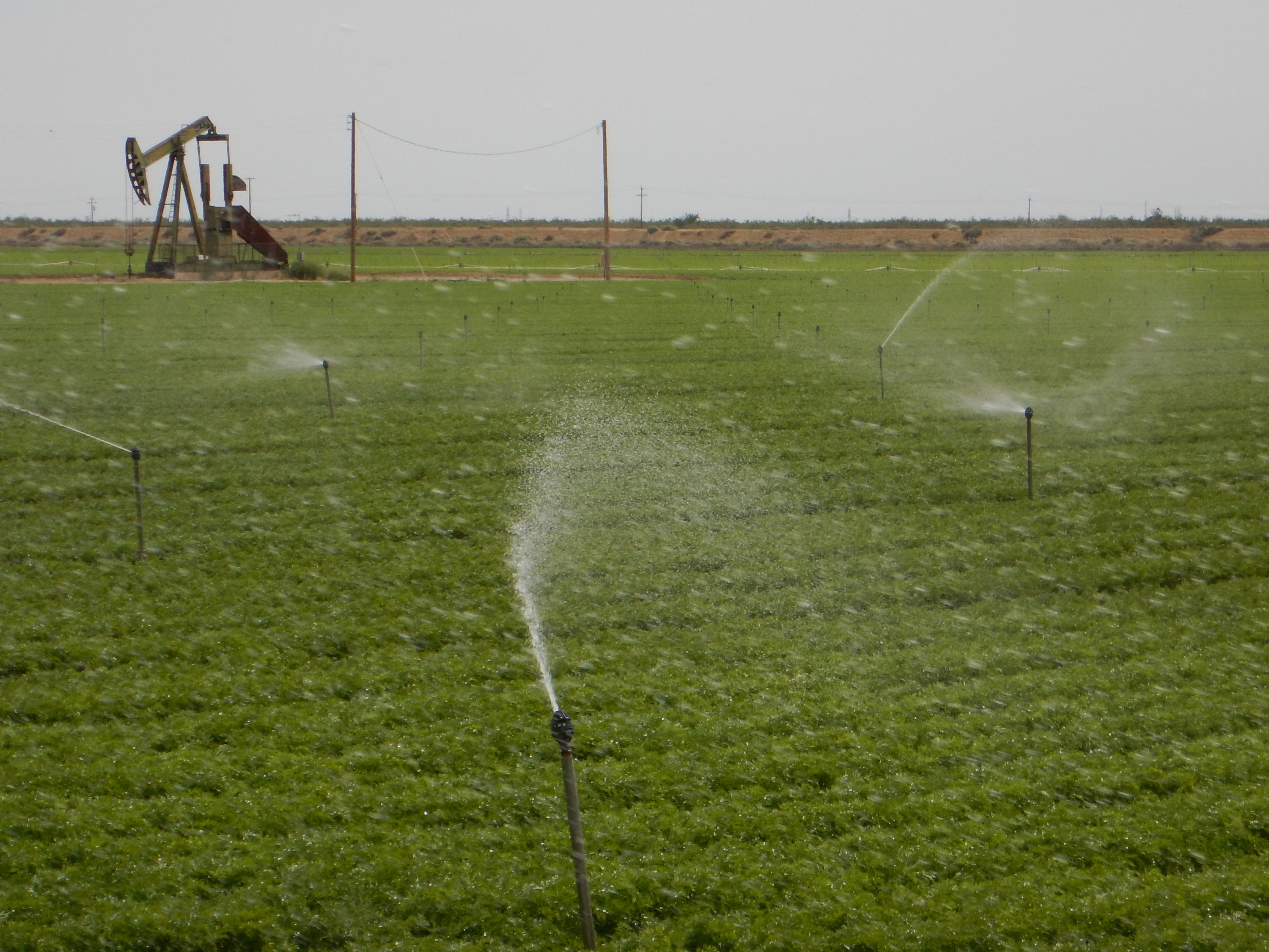 Stanford scientists find 'water windfall' beneath California’s Central Valley | Stanford News