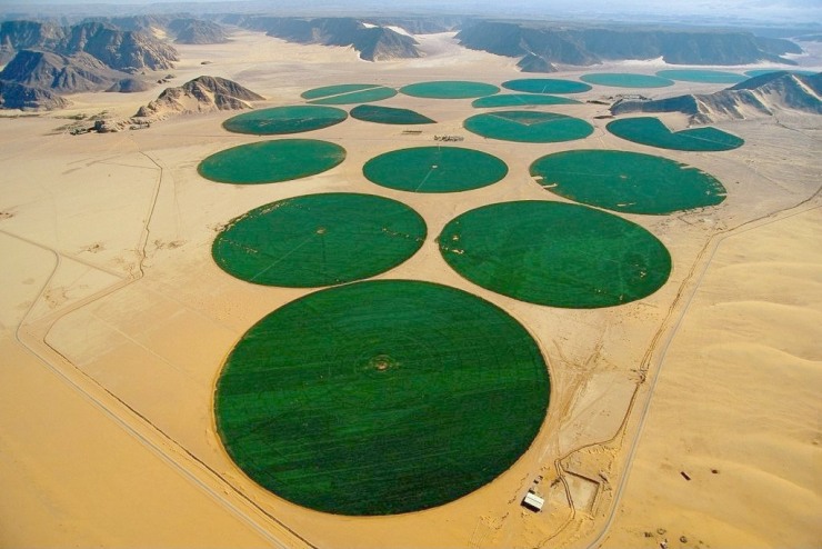 Saudi Agricultural Water Use Could Reduce 70%