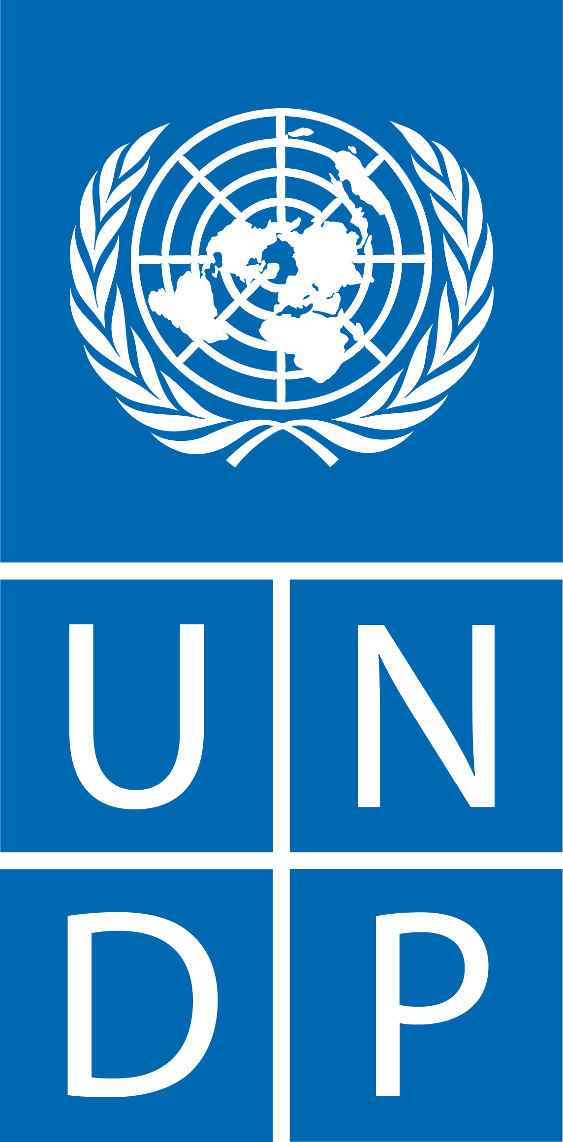 United Nations Development Programme (UNDP)