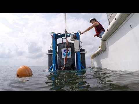 Robotic Underwater Lab Tracking Toxicity of Lake Erie Algal Bloom