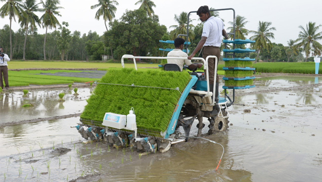 Syngenta to train 8 lakh farmers, set up 44 reference farms