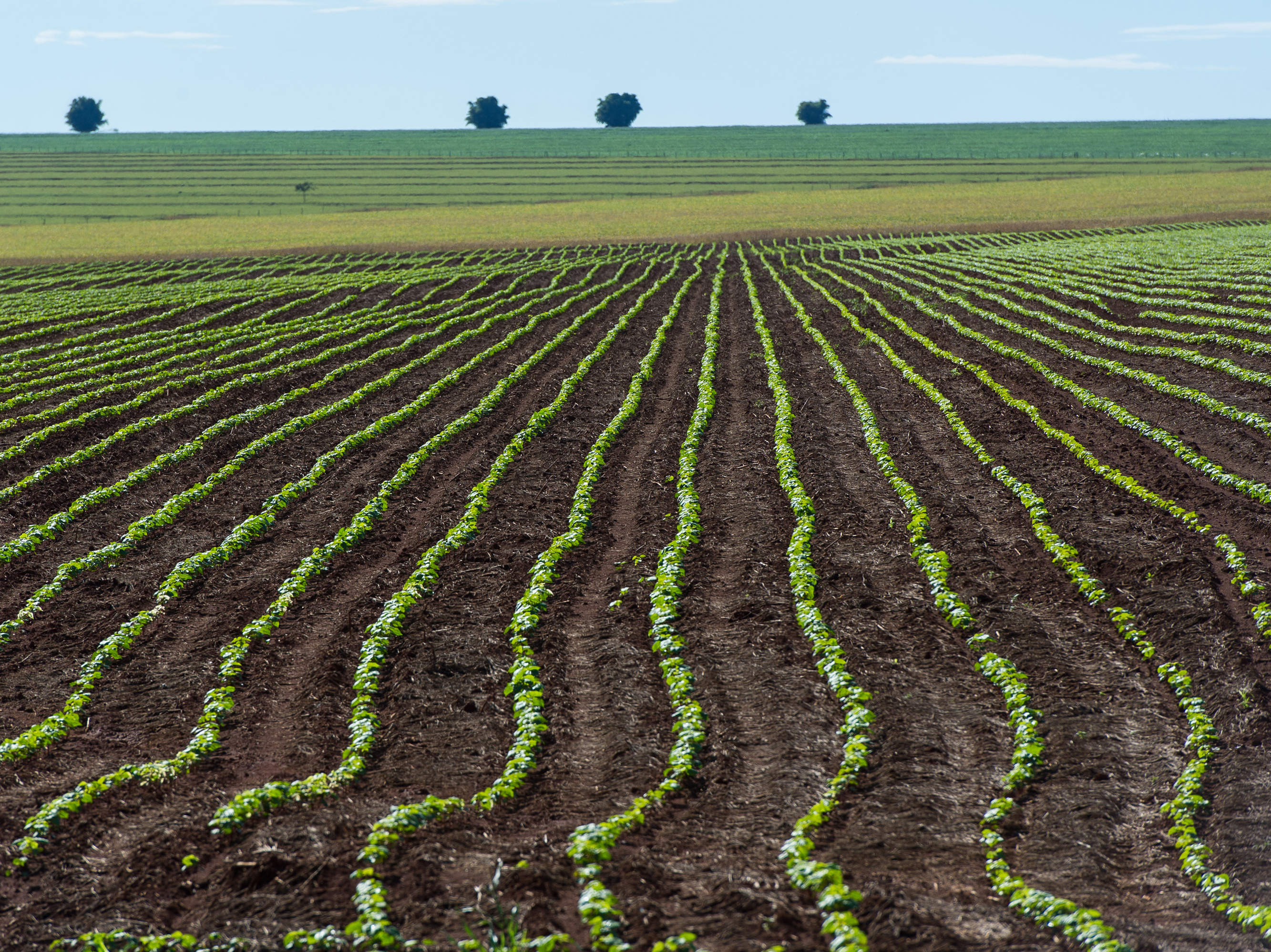 Farmers Versus Big Business Water Politics