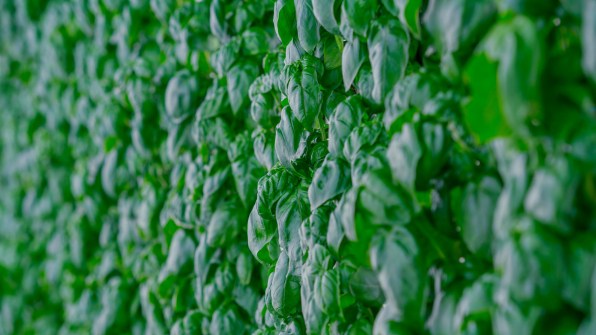 Vertical Farm Start-up Secures the Largest Ag Tech Investment Ever