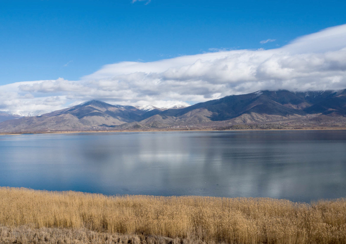 Wetlands: Havens of Life