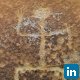 Ernie Wood, Texas Rancher, Microbial,Water,Life - Do you love it.EW
