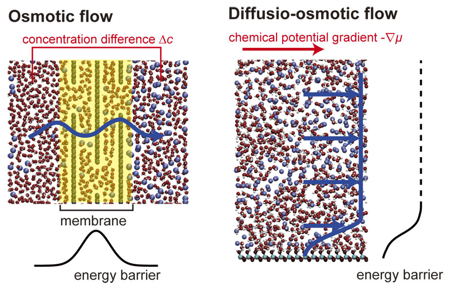 Deconstructing Osmosis Provides Insight for Medical and Industrial Use | AIP Publishing