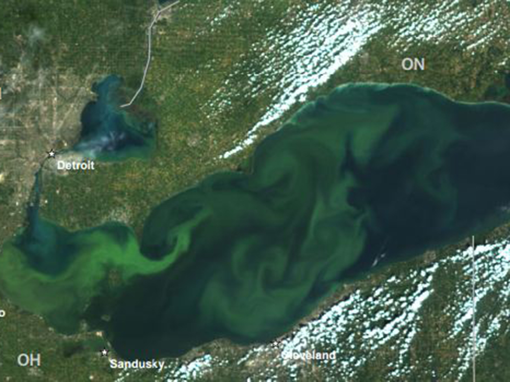 Canada, U.S. to Seek 40 Per Cent cut in Lake Erie Phosphorus