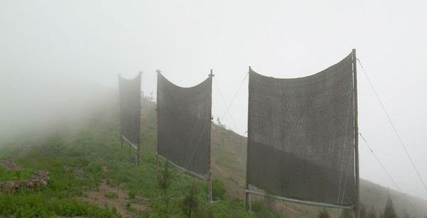 Moroccan Villagers Harvest Fog for Water Supply