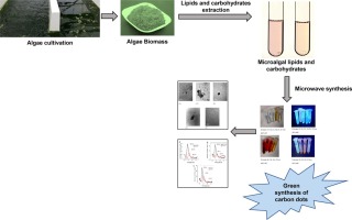 The green synthesis of carbon dots (CDs) from renewable resources has attracted attention of the scientific community for their use in different...