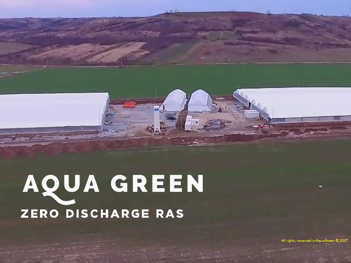 Aqua Green