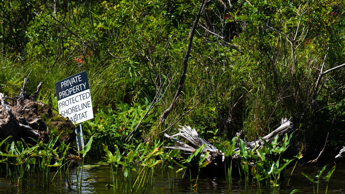 From forests to faucet, Michigan DNR starts new clean-water initiativeThe Michigan Department of Natural Resources has started a Forest to MI Fa...