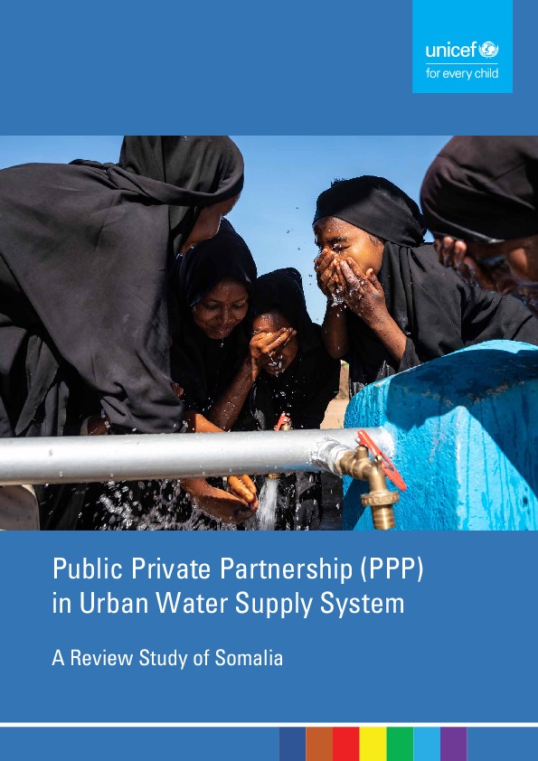 Analysis of Public, Private and Partnership (PPPs) in Somalia.