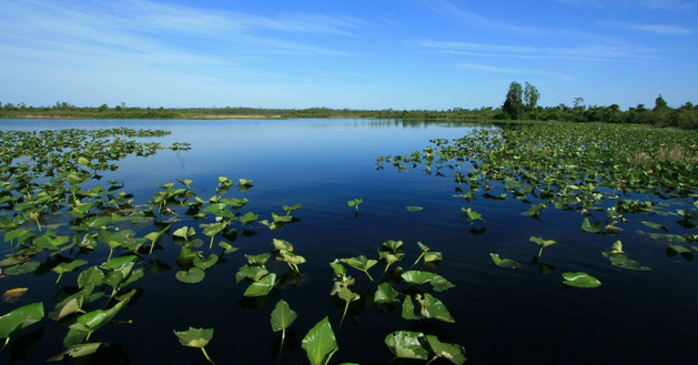 EPA Releases a Plan to Improve Great Lakes