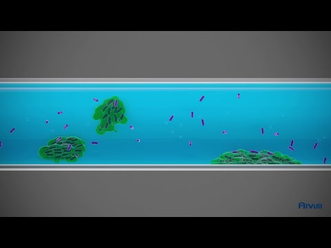 What is biofilm? (2 min video)