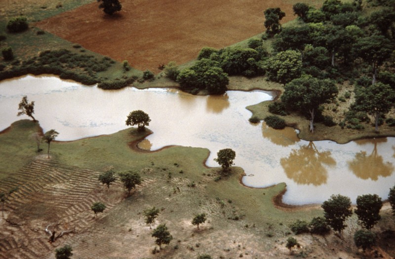 African River Study Analysing Carbon Emissions