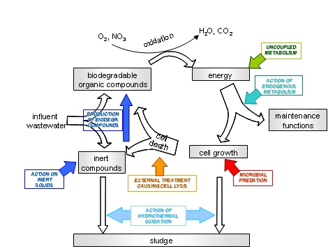 🌐🔄 Research Project with a Total Cost of &euro;6,169,043🌍The research output on sludge dewatering and processes for achieving sustainable ...