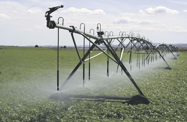 WSU survey seeks irrigated farmersA survey of farmers who irrigate will help Washington State University researchers better understand grower vi...