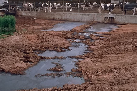 Livestock Farm Wastewater Treatment - Overview