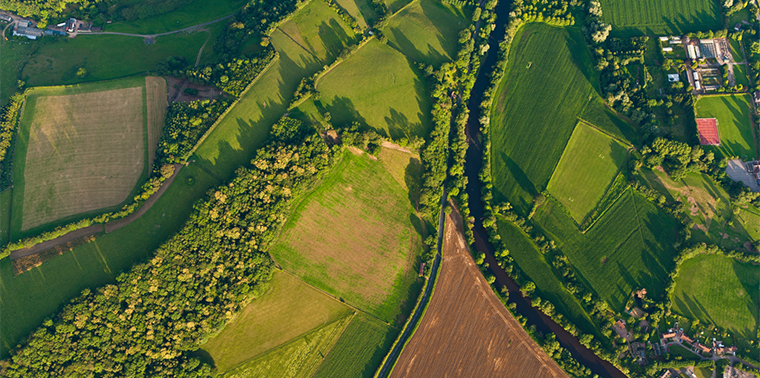 Life-giving Nutrient Changed into a Deadly Pollutant. How to Change It Back?