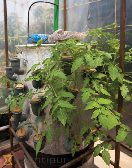 The Future Farmers - Aeroponics