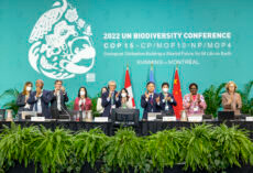 Bloom Association » COP15: other issues addressed in the Kunming-Montreal agreement