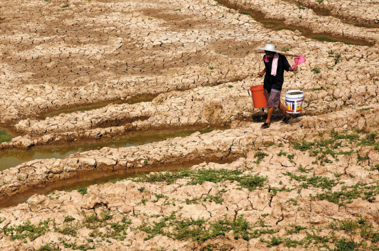 Henan Faces Worst Drought in 63 years