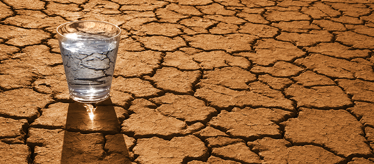 Drought —  a cause of riots - Communiqués de presse - UNIGE
