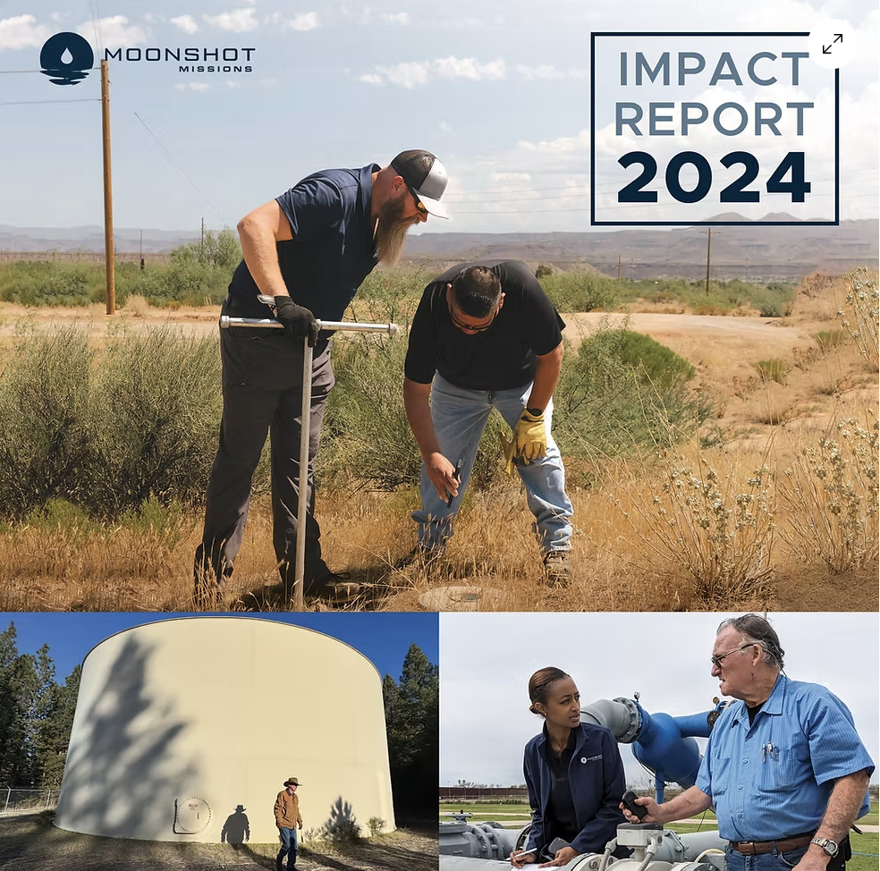 Impact Report 2024