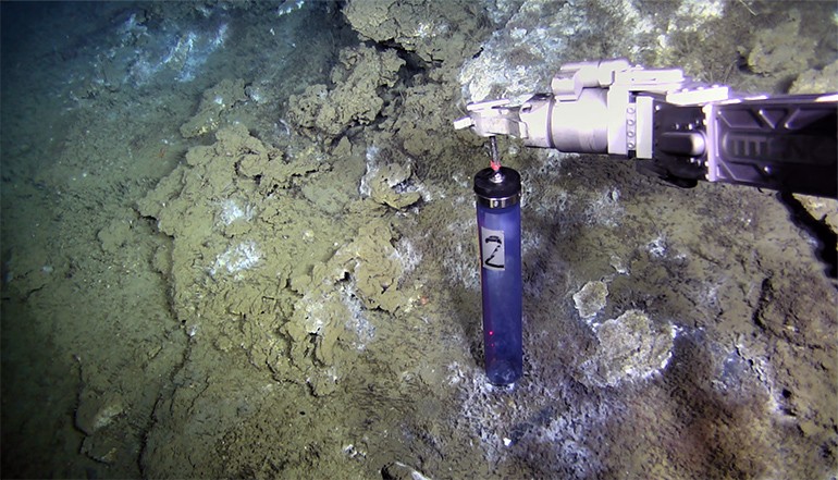Freshwater Found in the Norwegian Sea