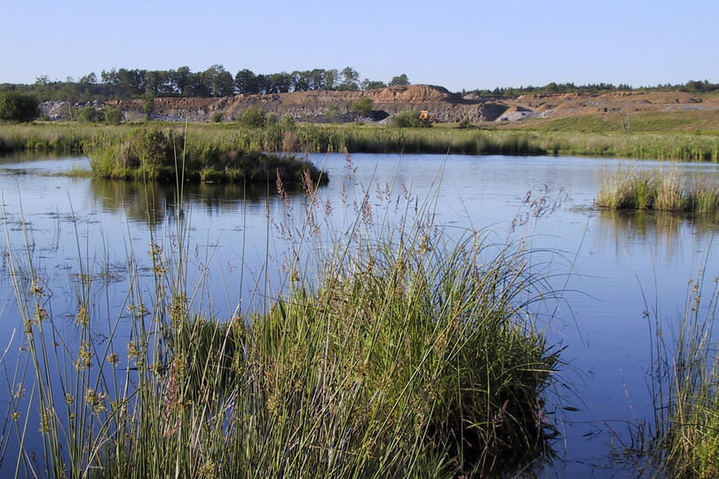 First Comprehensive Regulatory Guidance for State Wetland Water Quality Standards