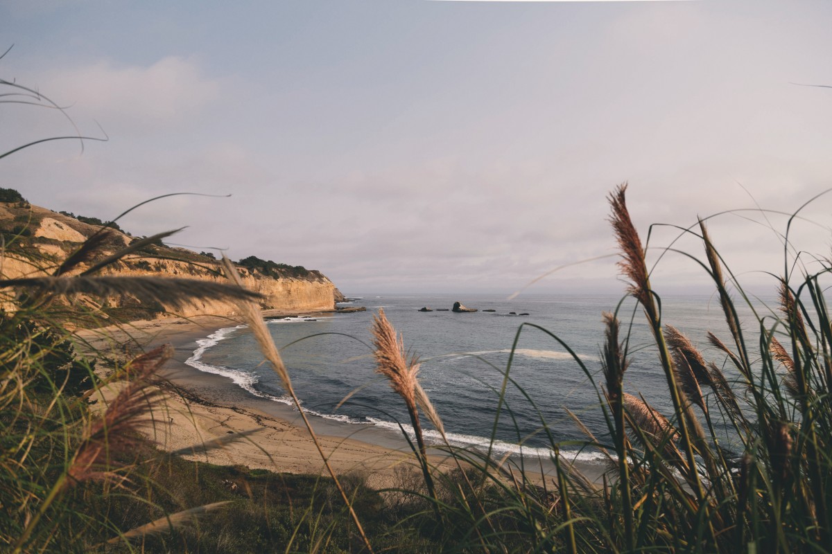 Coastal Water Absorbing More Carbon Dioxide