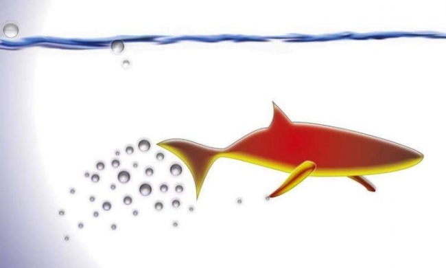 3-D Printed Microfish Could Purify Water