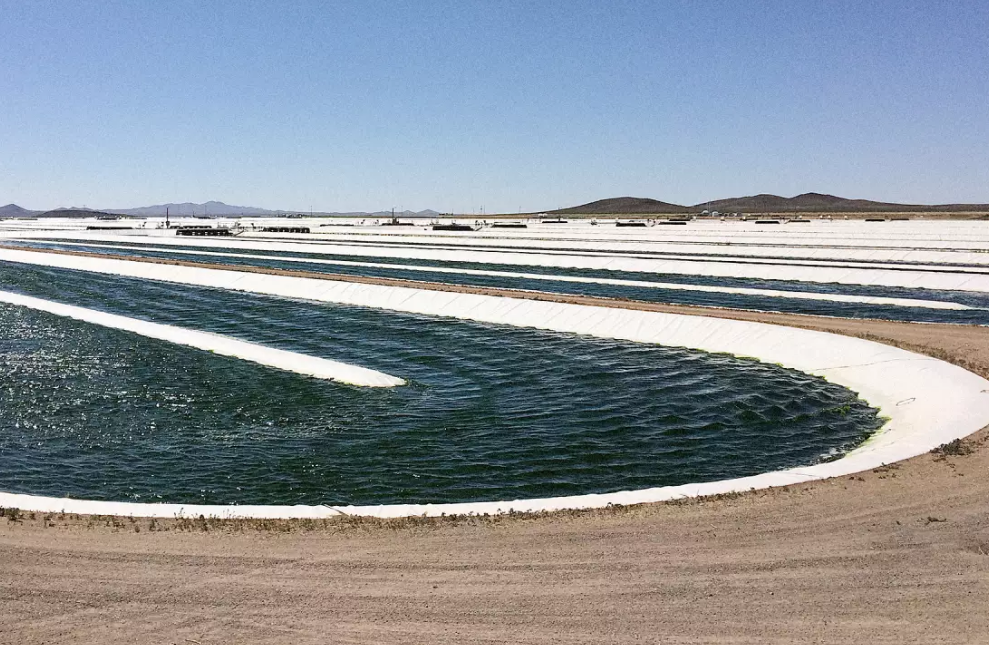 Can Algae Fix the Damage Done By The Supplement Industry?