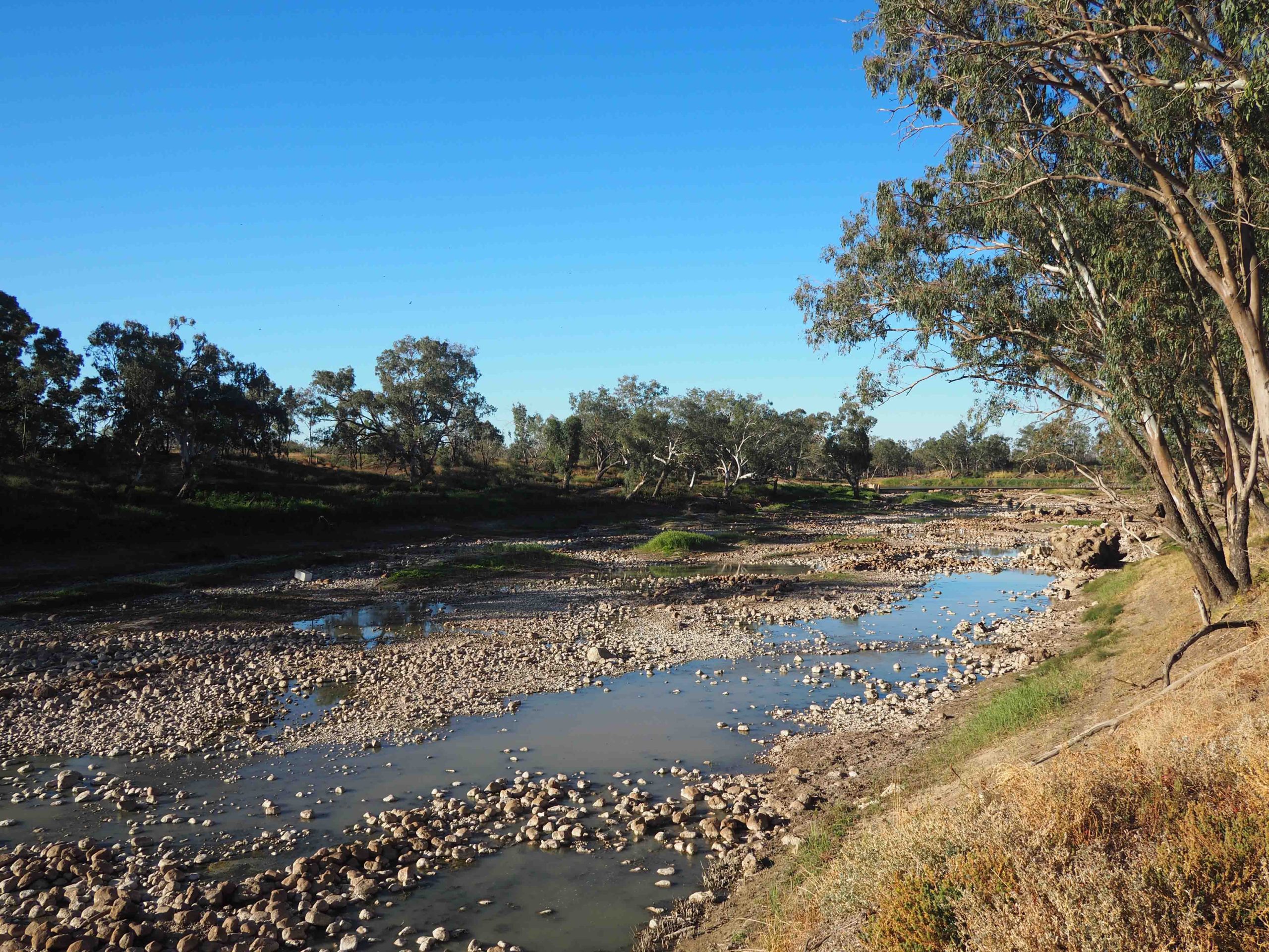 Recognising regulatory capture as a form of corruption in government water agencies