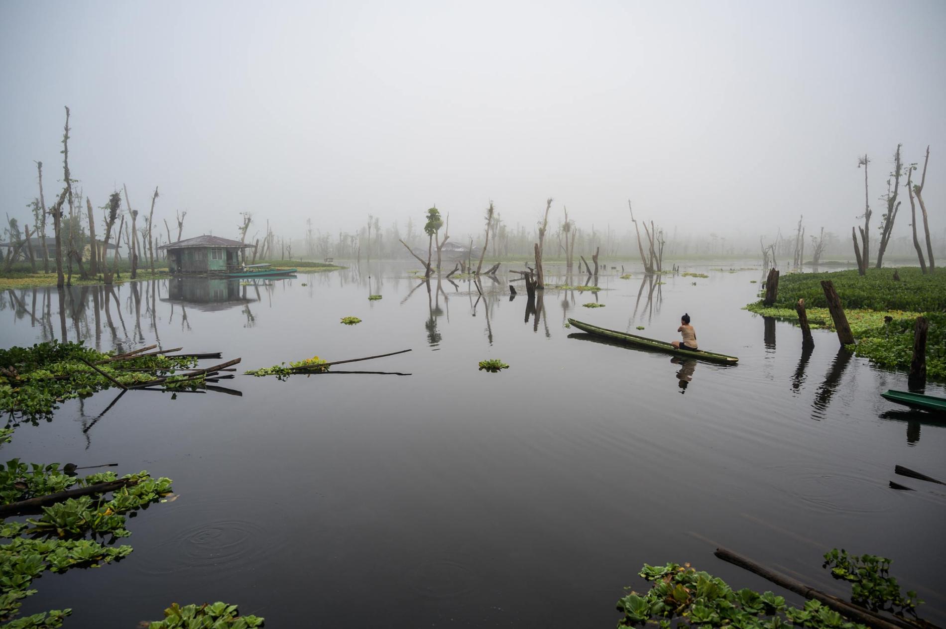 The world&rsquo;s wetlands are slipping away. This vibrant sanctuary underscores the stakes.