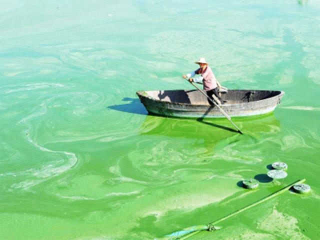 Algal Blooms May Affect China’s Water