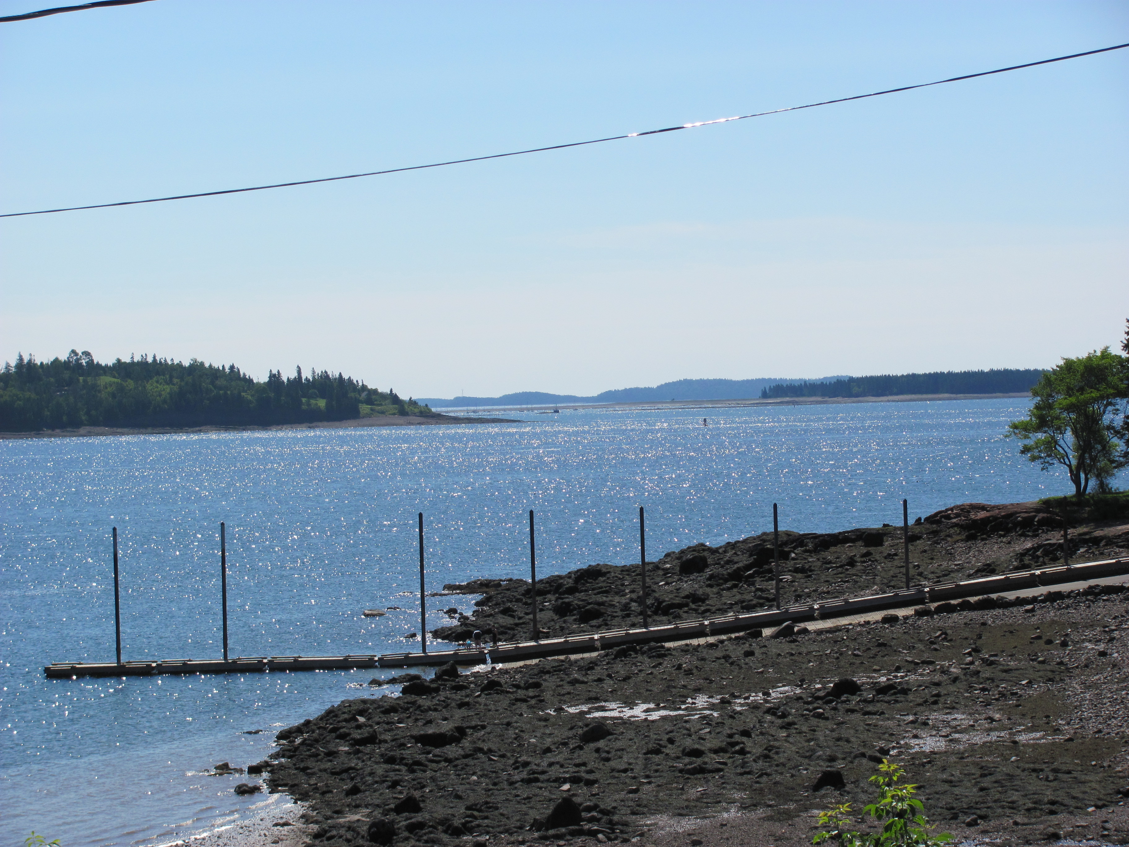 Climate Change Impact on Gulf of Maine